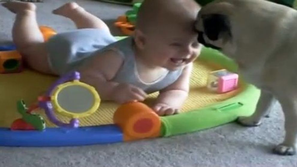 Cod roz de dragalasenie: Rasul molipsitor al unui bebelus atunci cand se joaca cu catelul familiei