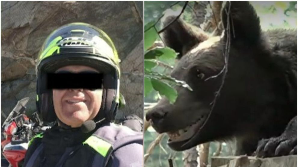 Ce a apucat să facă motociclistul ucis de ursoaică pe Transfăgărășan înainte de a fi atacat de animal. Detalii despre tragedia care a îngrozit turiștii