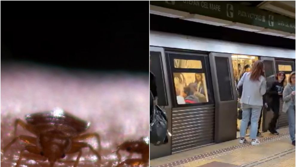 Ploșnițele au invadat metroul din București. Călătorii ar putea pleca cu insectele acasă: „Avem şi anumite poze că angajații au fost deja ciupiţi”