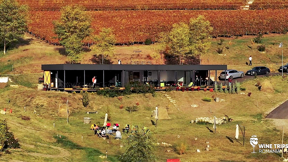 Wine Trips România | Velvet Winery, locul în care bei, iubești și vrei să uiți restul