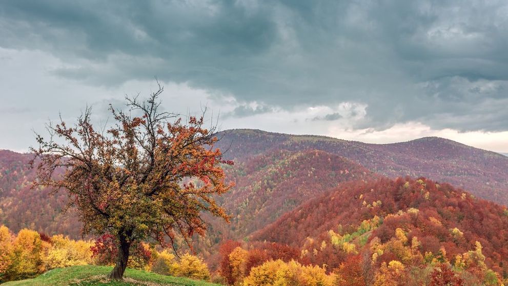 Realizare in premiera in muntii Romaniei. Cum reuseste o echipa de voluntari si salvamontisti sa faca drumetiile mai sigure