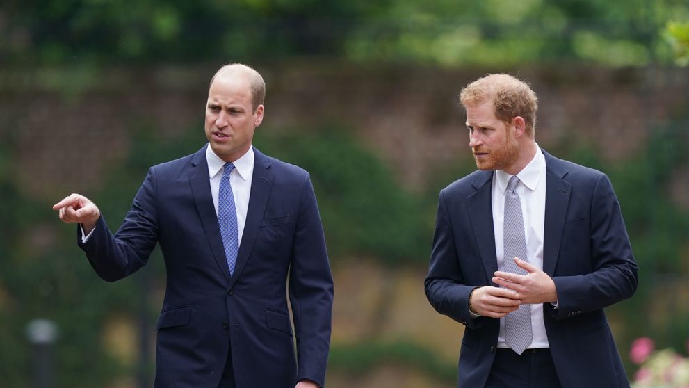 Prințul Harry își dorește o întâlnire urgentă cu fratele său William. Tensiune maximă. Vom asista la marea împăcare?