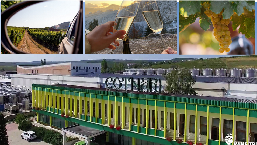 Wine Trips România | Acasă la vinul de Cotnari, unul dintre cele mai apreciate branduri românești