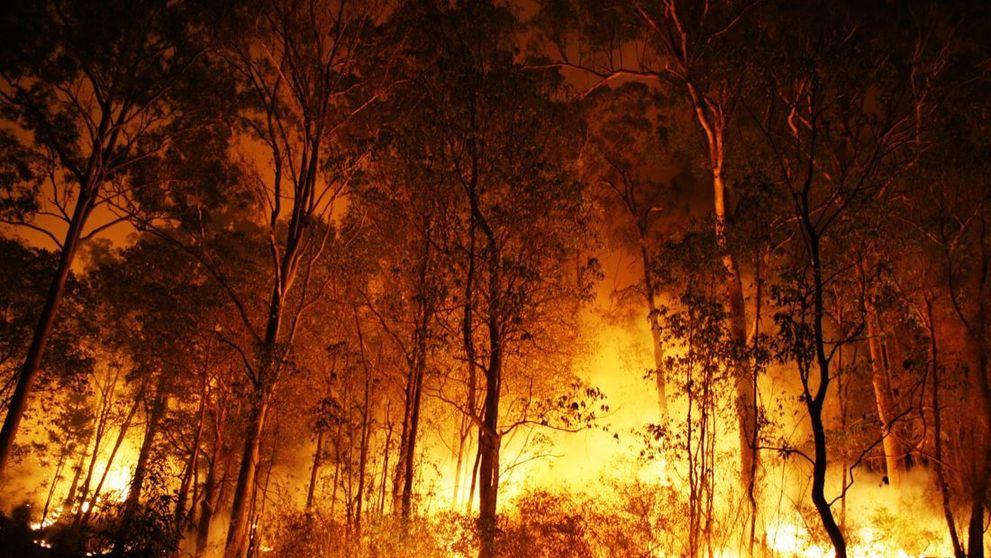 Un nou incendiu devastator în Grecia, sesizat de pompierii români! Locuințele au fost cuprinse de flăcări