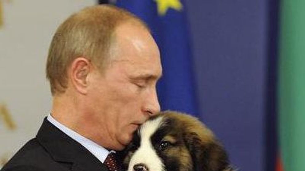 Vladimir Putin ii invita pe rusi sa aleaga un nume pentru catelul lui!