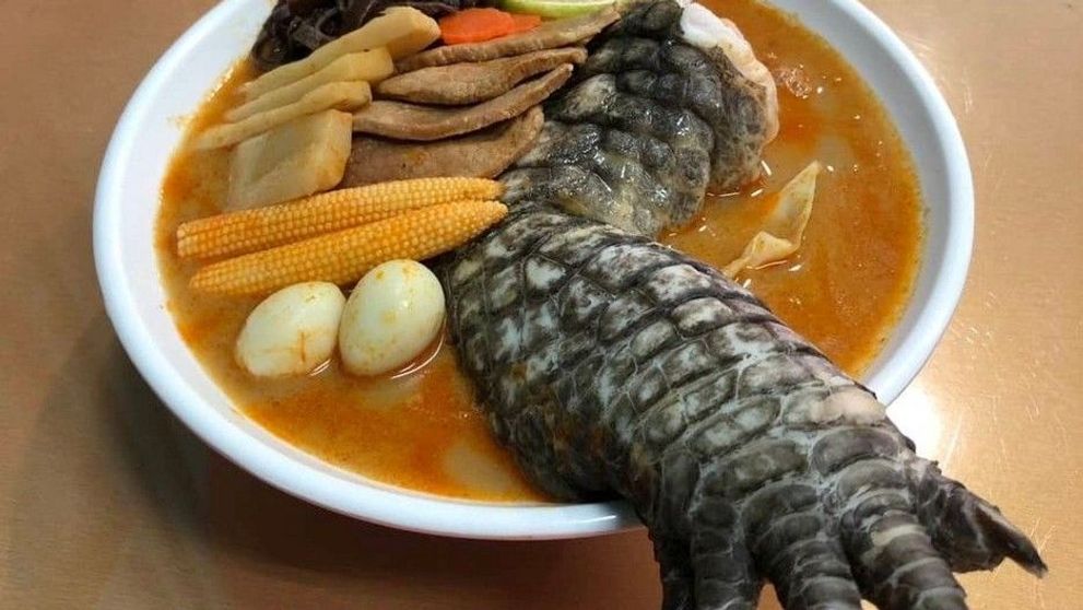 Supa cu… picior de crocodil, cea mai nouă delicatesă. Clienții restaurantului sunt oripilați