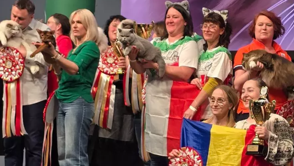 O pisică din România a fost desemnată cea mai frumoasă din Europa. Cum arată Kira Kiralina, supranumită  „ursoaica din Bucovina”