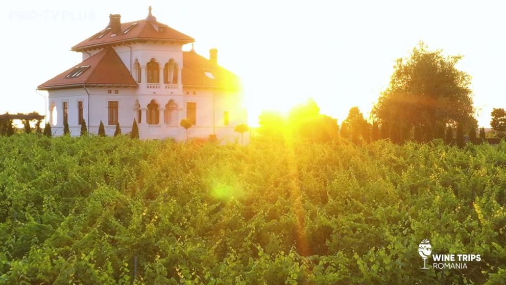 Wine Trips România | Descoperind vestitul Negru de Drăgășani la Crama Avincis