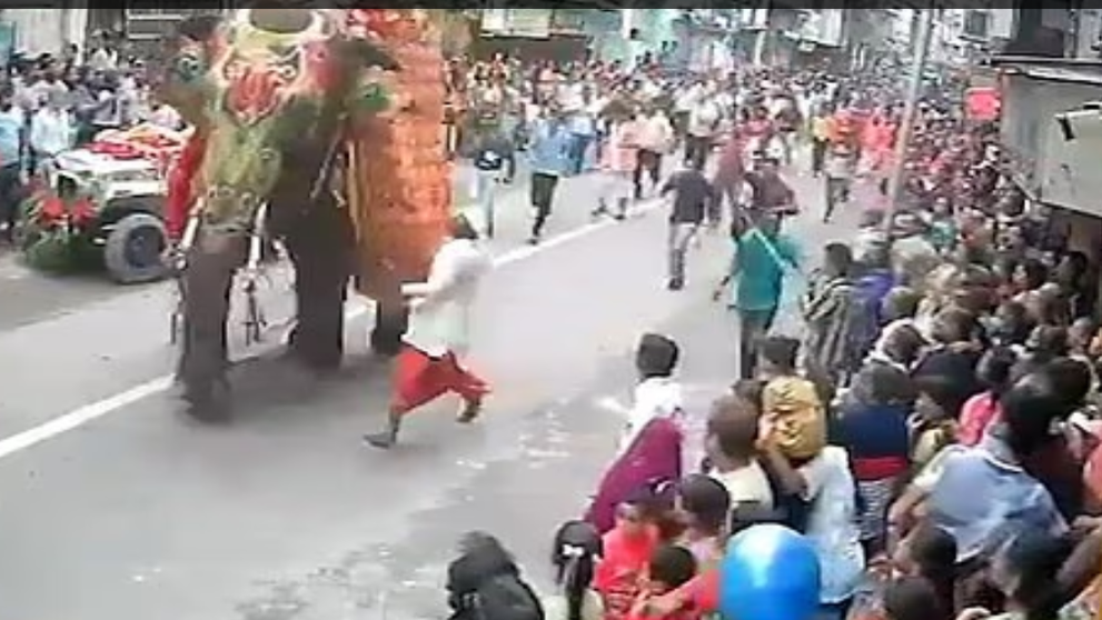 Momentul șocant când un elefant o ia razna la un festival și se năpustește în mulțime. ”A fost nevoie de două femele elefant pentru a-l potoli”