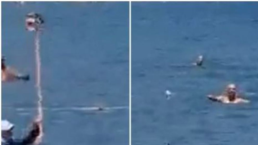 În Turcia, un bărbat a alungat un ”rechin” de pe o plajă aglomerată, lovindu-l cu un mop în cap