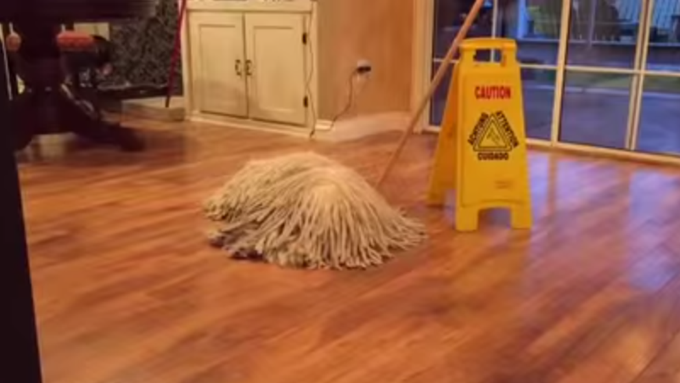 Toti au crezut ca este un mop pentru curatenie. Ce se intampla la secunda 8 i-a lasat pe toti fara cuvinte VIDEO