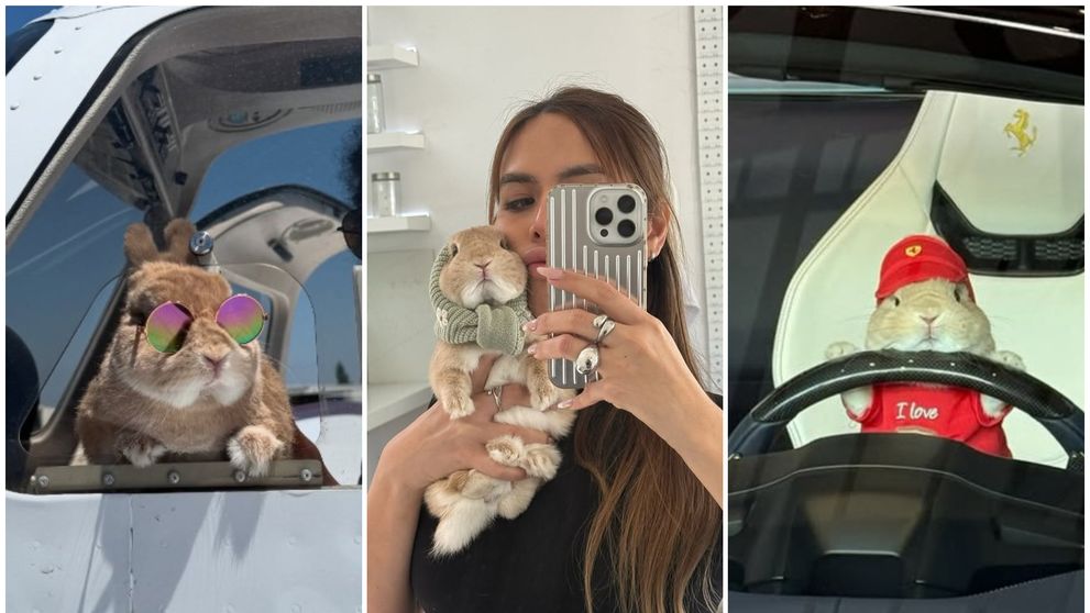 Faceți cunoștintă cu Reesy, iepurașul influencer cu aproape 1 milion de urmăritori și o garderobă de peste 10.000 de dolari