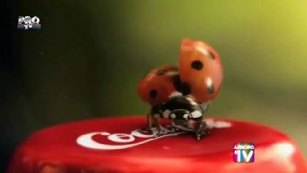 Cele mai tari reclame pentru Coca Cola la Apropo Tv! Vezi AICI VIDEO!