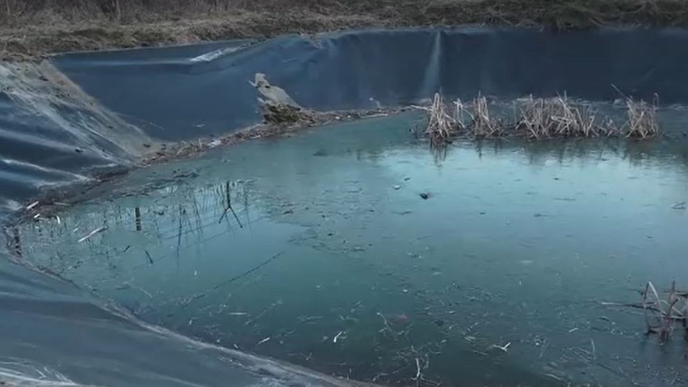 Tragedie într-o familie din Sighișoara. Două surori, în vârstă de 2 și de 4 ani, au murit după ce au căzut într-un lac. Cea mare a încercat să o salveze pe cea mică