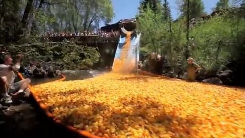 VIDEO / Ultima nebunie: 100.000 de rate de plastic s-au intrecut pe apa in Ohio!
