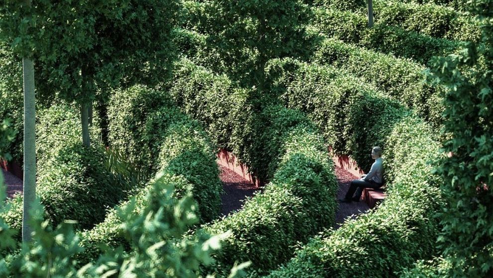 Austriecii construiesc un parc care le va permite oamenilor să iasă la aer fără a încălca distanțarea socială
