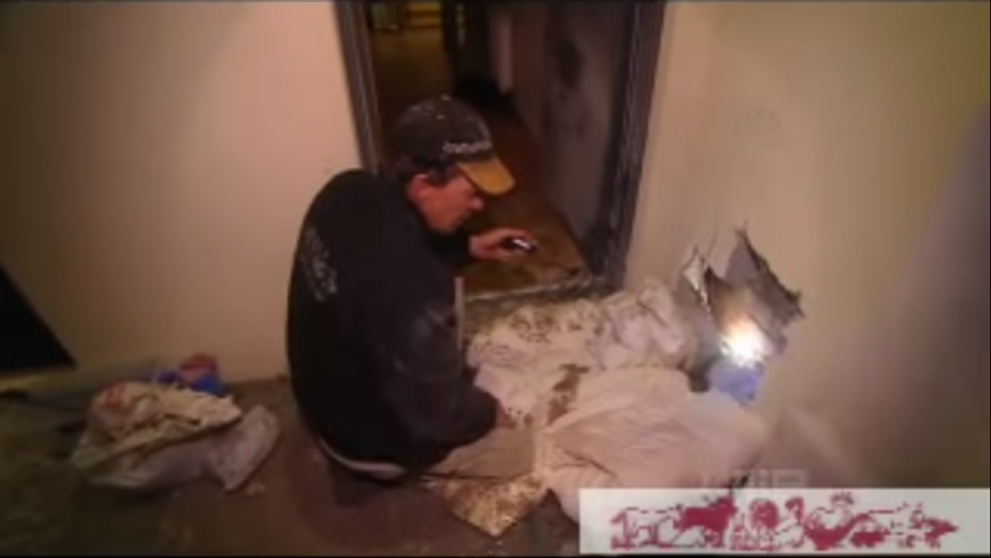 Se auzeau zgomote ciudate din perete, dar nu au banuit niciodata ca vor descoperi asa ceva. Ce au gasit