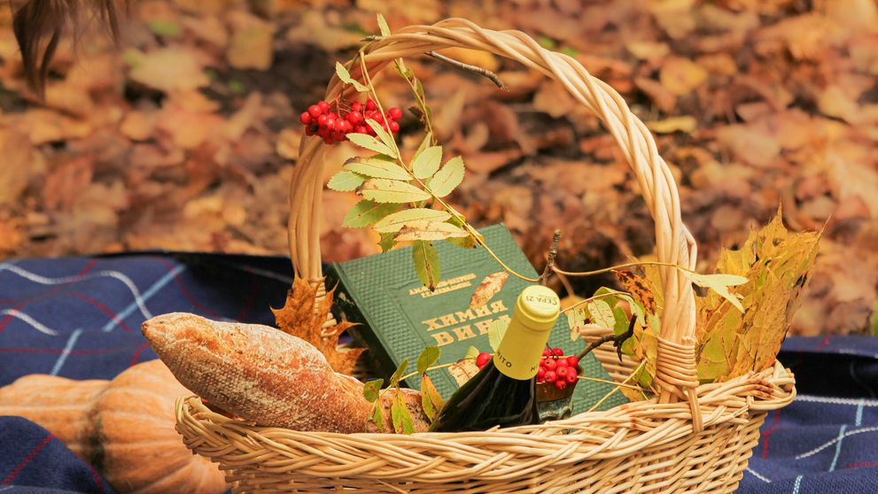 (P) Arta de a oferi în mediul corporate – viziunea Giftidea