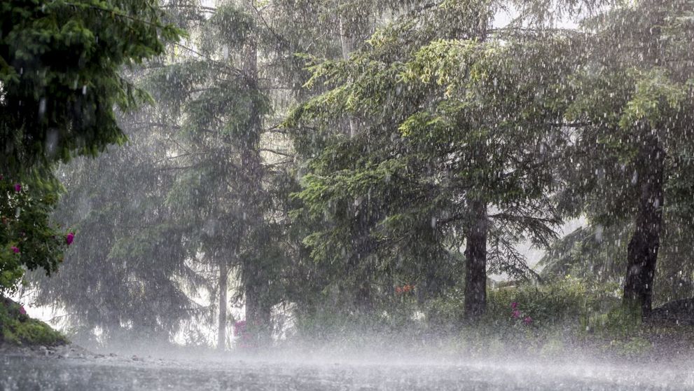 Prognoza meteo: Cum se anunță vremea pentru astăzi