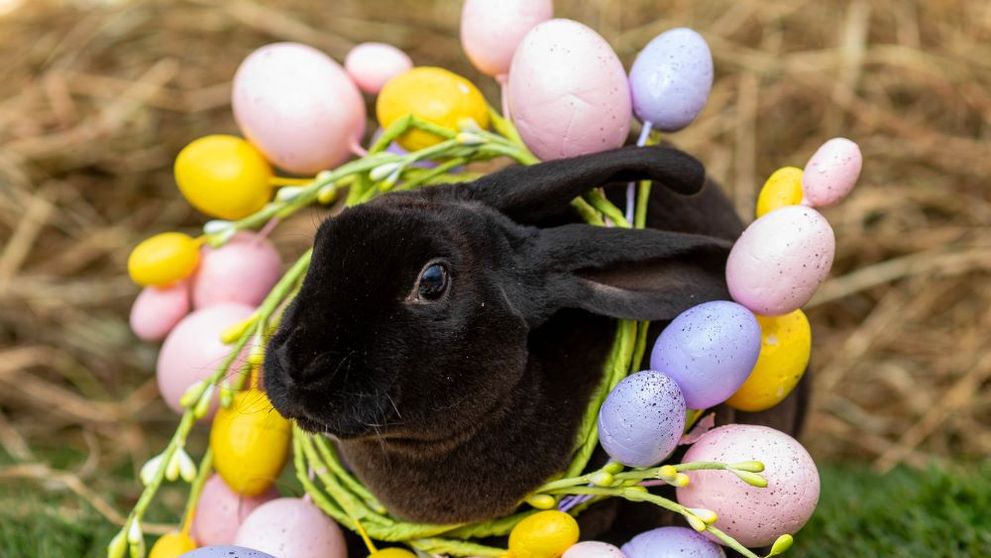 Câte zile libere vor avea angajații români de Paște și de 1 Mai (Ziua Muncii)