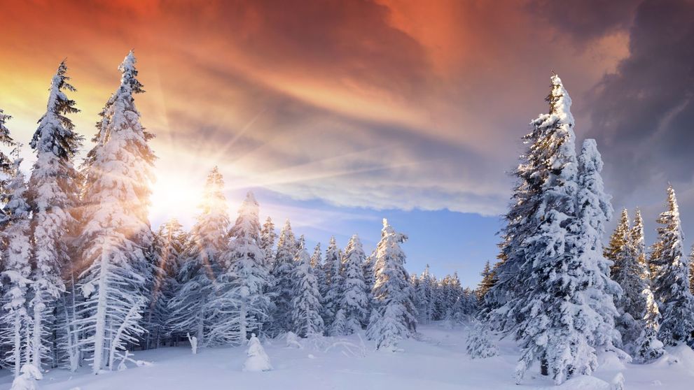 VIDEO: Prognoza Meteo