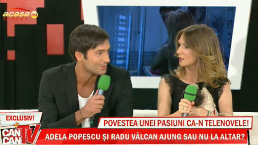 Radu Valcan, <span style=