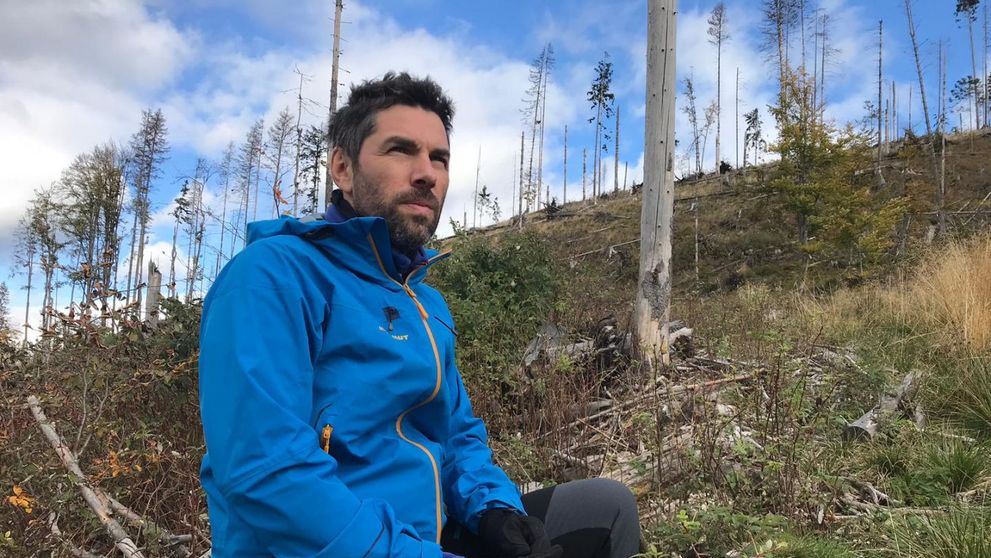 Duminică seară, peste 1.3 milioane de români au urmărit ancheta România, te iubesc! despre jaful din păduri!