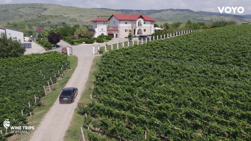 Wine Trips România, sezonul 4 | În căutarea unicornilor din basme la Licorna Winehouse