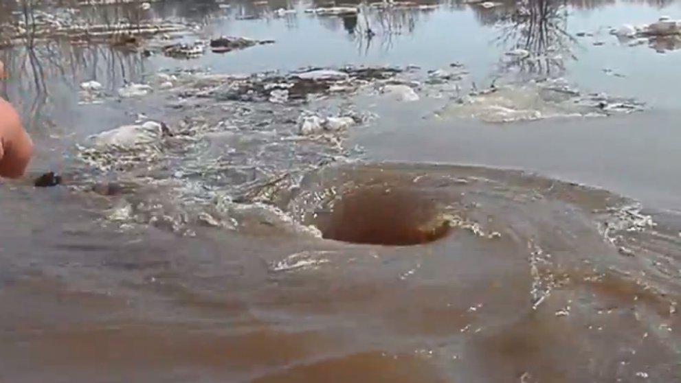 Peste 5 milioane de oameni, fascinati de un videoclip. Nimeni nu stie de unde a aparut acest vartej