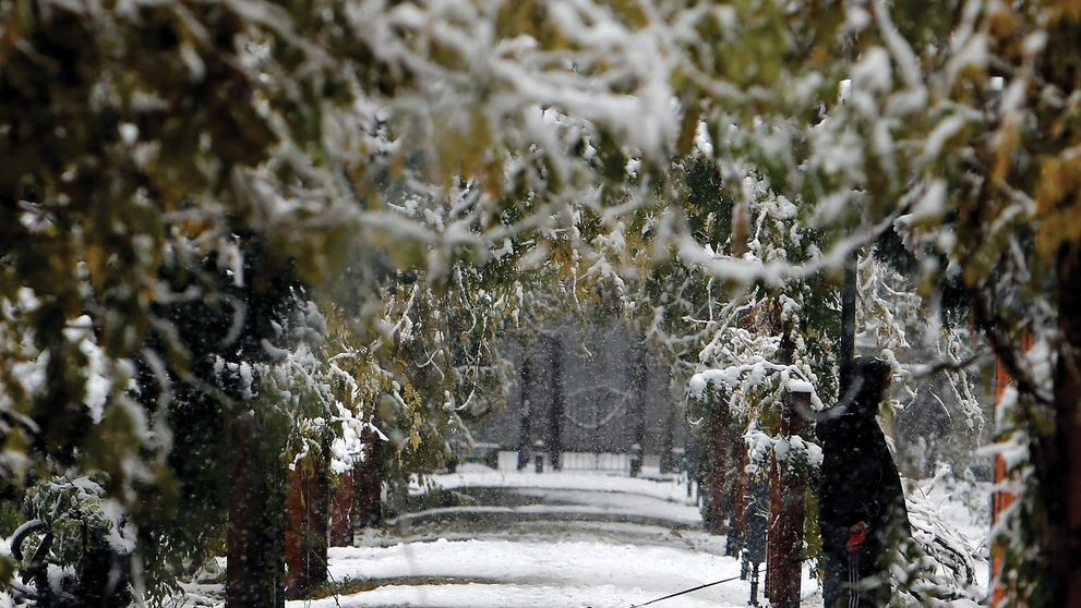 Avertismentul meteorologilor: Iarna se întoarce în România! În ce zile din luna martie va ninge