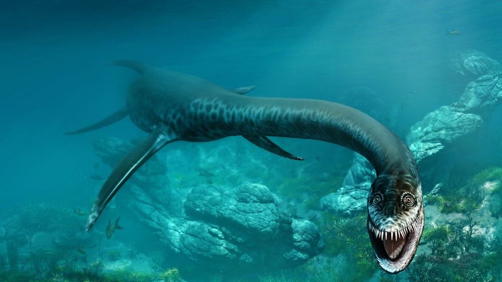 Monstrul din Loch Ness, filmat cu o dronă? Ce a surprins un turist în timp ce făcea canotaj în Scoția