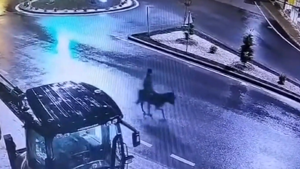 Mai ceva ca-n filmele americane! Un bărbat a dat spargere la un magazin de bijuterii și a fugit... pe un măgar. Imagini de la ”jaful secolului”