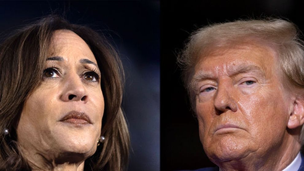 Ce promisiune i-a făcut Kamala Harris lui Donald Trump, după înfrângerea de la prezidențialele din SUA. Conversația telefonică pe care cei doi au avut-o, imediat după anunțarea rezultatelor finale: „I-am spus că...”