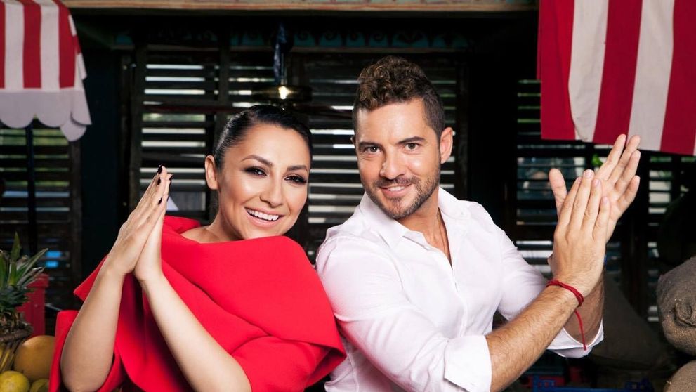 Andra lanseaza vineri o noua melodie, alaturi de David Bisbal. Asculta teaser-ul piesei 