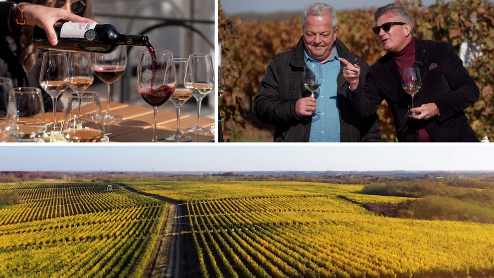 Wine Trips România | Secretul vinurilor roșii de Sâmburești, medaliate cu aur pe plan internațional