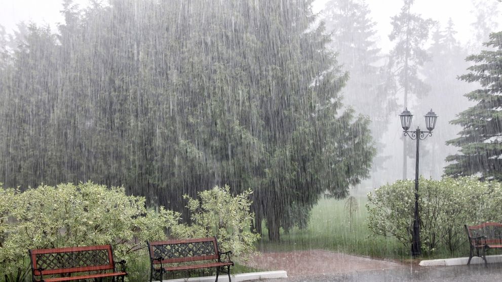 Orașul din România în care va ploua opt zile încontinuu, conform meteorologilor Accuweather