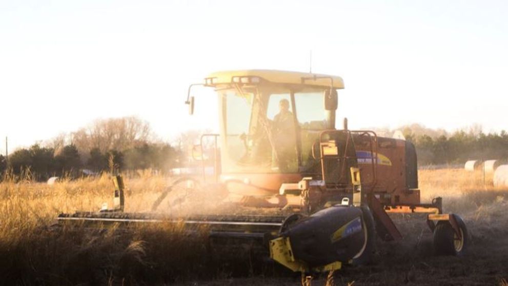 (P) Cele mai importante activități din domeniul agricol în funcție de lună