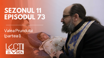 Poster Lecții de viață